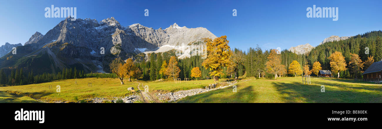 Panorama at Kleiner Ahornboden with maple trees in autumn colours and  Rauhkarlspitze, Kaltwasserkarspitze and Birkkarspitze, Ka Stock Photo