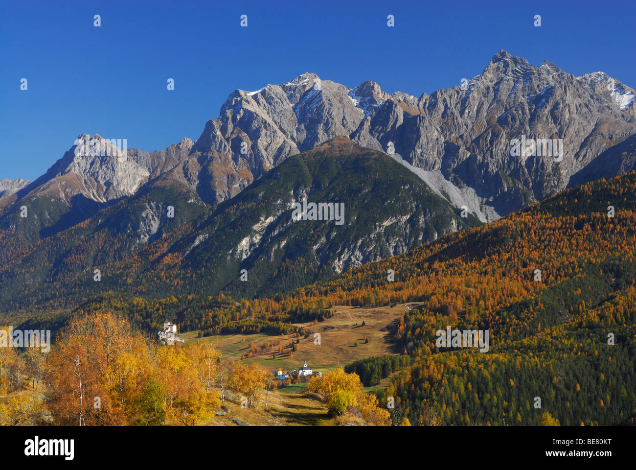 Birches in autumn colours with view to castle of Tarasp, Piz Lischana ...