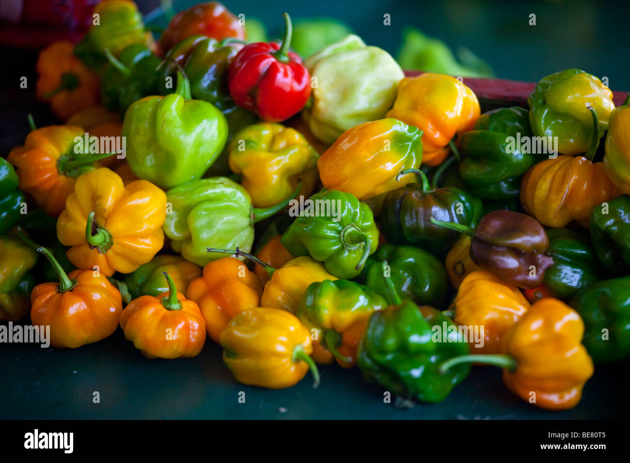 Chilis at a vegetable market in Port of Spain Trinidad Stock Photo