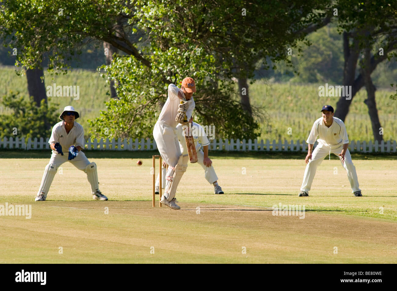 People playing cricket at uitsig Cricket Club, Constania, Cape Town, South Africa, Africa Stock Photo