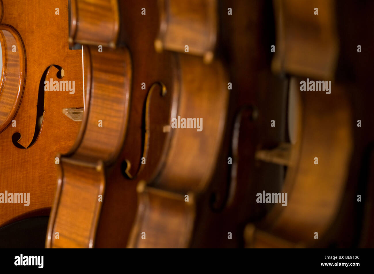 Close up of violins, Workshop of Bruce Carlson, Violin Maker, Cremona, Lombardy, Italy Stock Photo