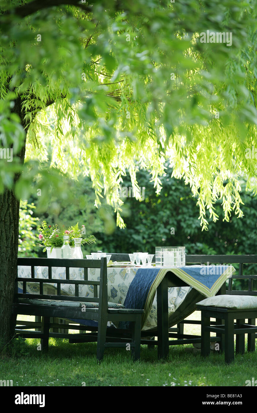 A table is laid under a tree Stock Photo