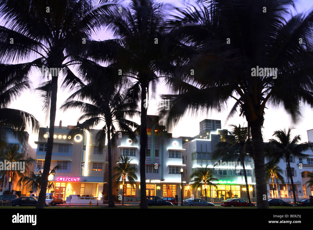 Palm trees in front of illuminated hotels in the evening, Ocean Drive, South Beach, Miami Beach, Florida, USA Stock Photo
