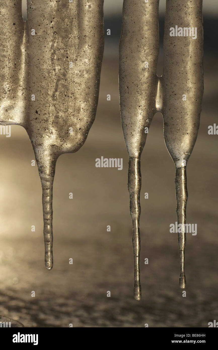 Sculpture of ice with backlighting Stock Photo