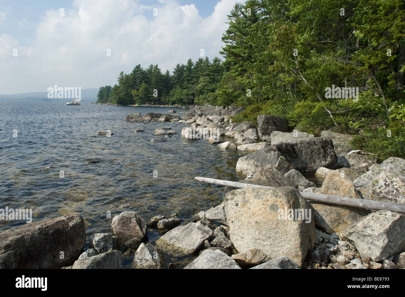 Water with rocks and trees Stock Photo - Alamy