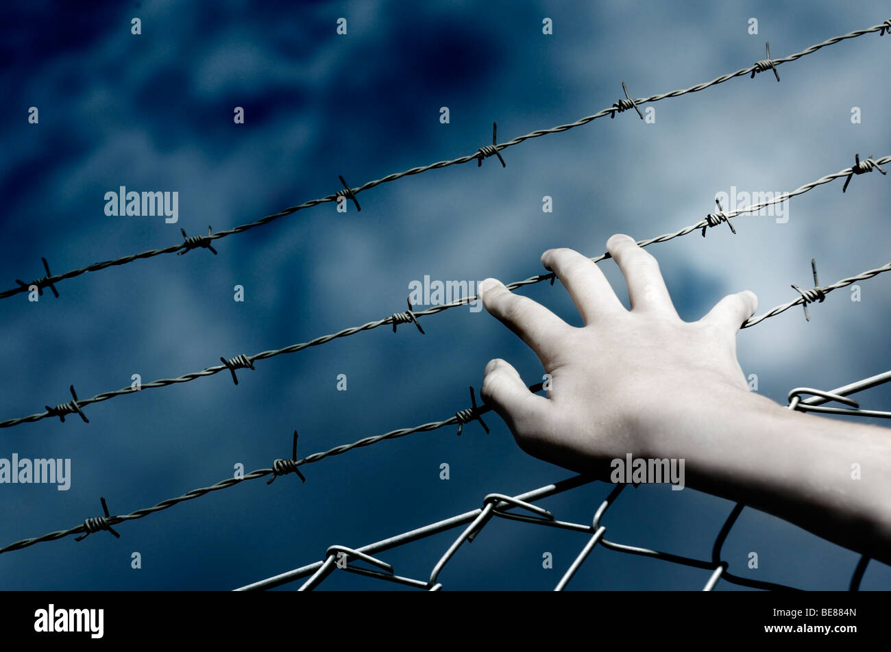 Barbed Wire and a hand Stock Photo