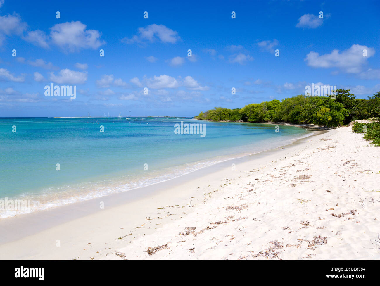 West Indies Caribbean Grenadines Grenada Carriacou Island Paradise Beach At L Esterre Bay Gentle