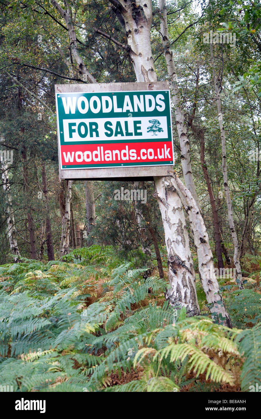 Woodland for sale sign hires stock photography and images Alamy
