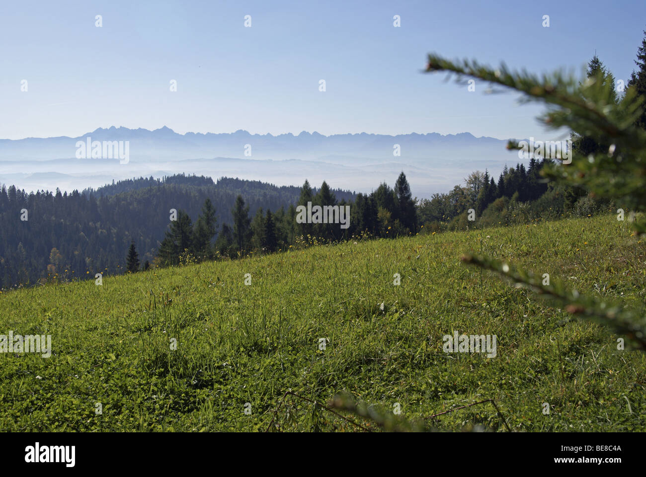 Green meadow and foggy mountains Stock Photo