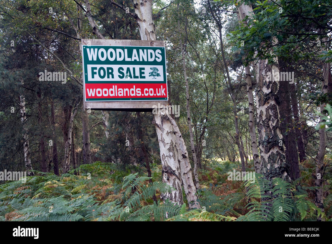 Woodlands for sale in the UK