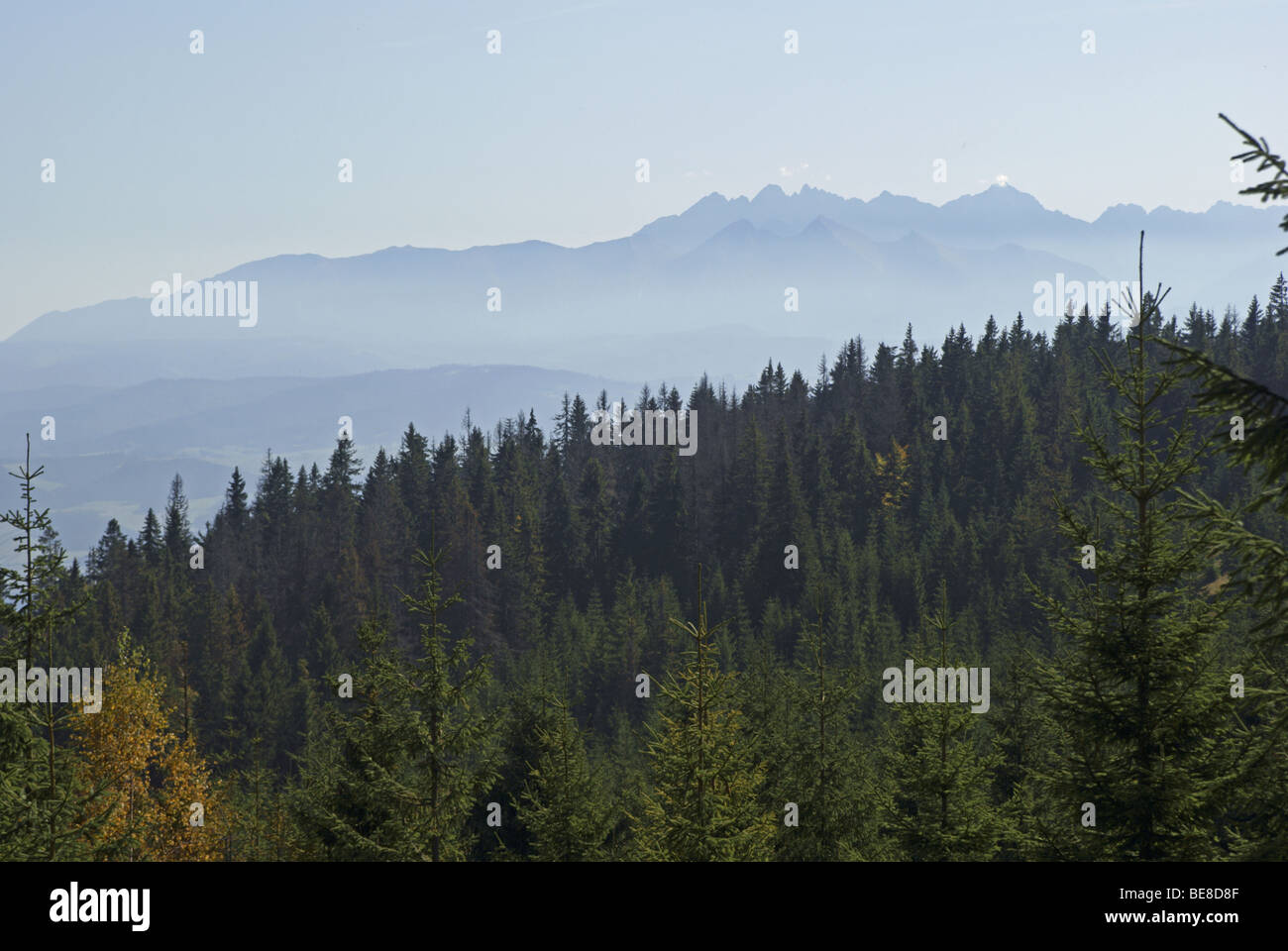 Foggy Tatra mountains, view from Turbacz Stock Photo