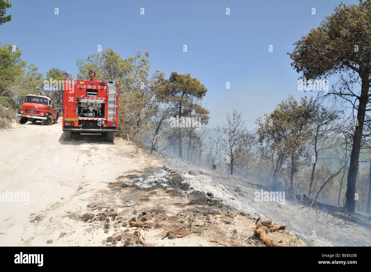 Israel, Carmel Mountain, Shekef Forest, Fire fighters extinguishing a forest fire started by