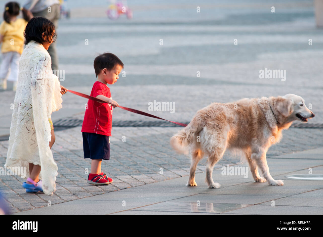 Children walking with a dog, Hong Kong, China Stock Photo Alamy