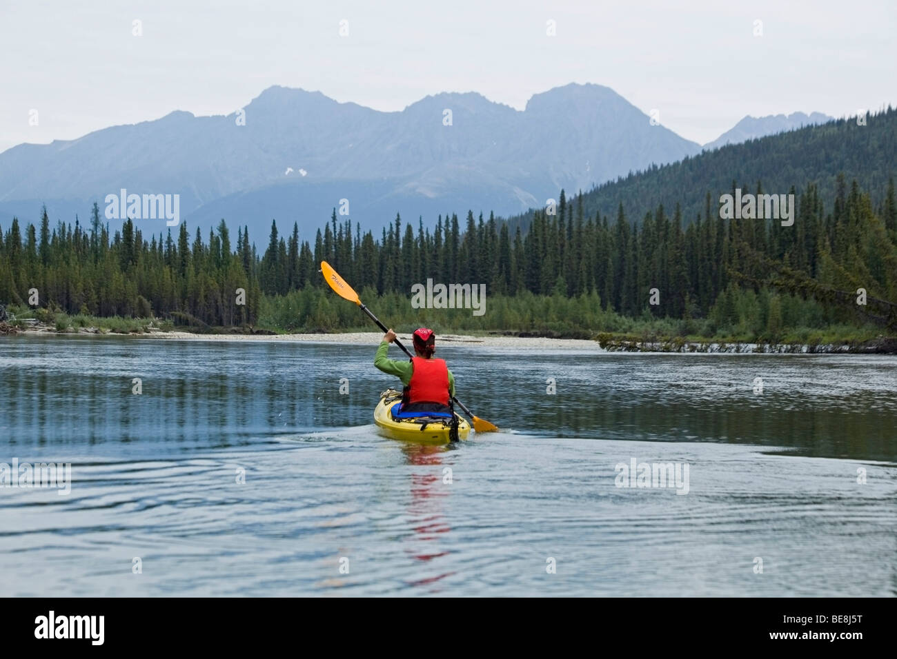 Woman in kayak, paddling, kayaking, upper Liard River, Pelly Mountains behind, Yukon Territory, Canada Stock Photo