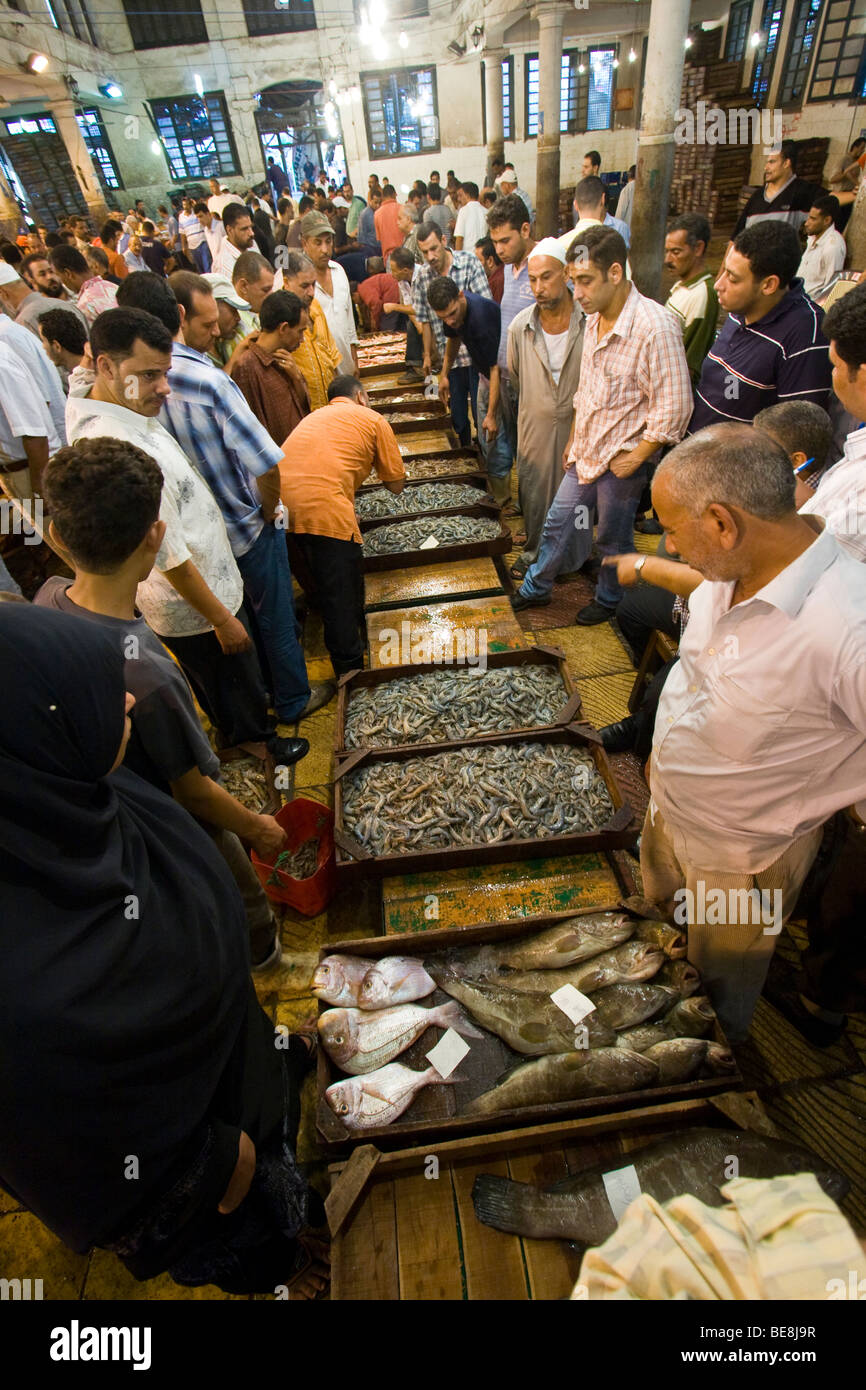 Anfushi Fish Market in Alexandria Egypt Stock Photo Alamy