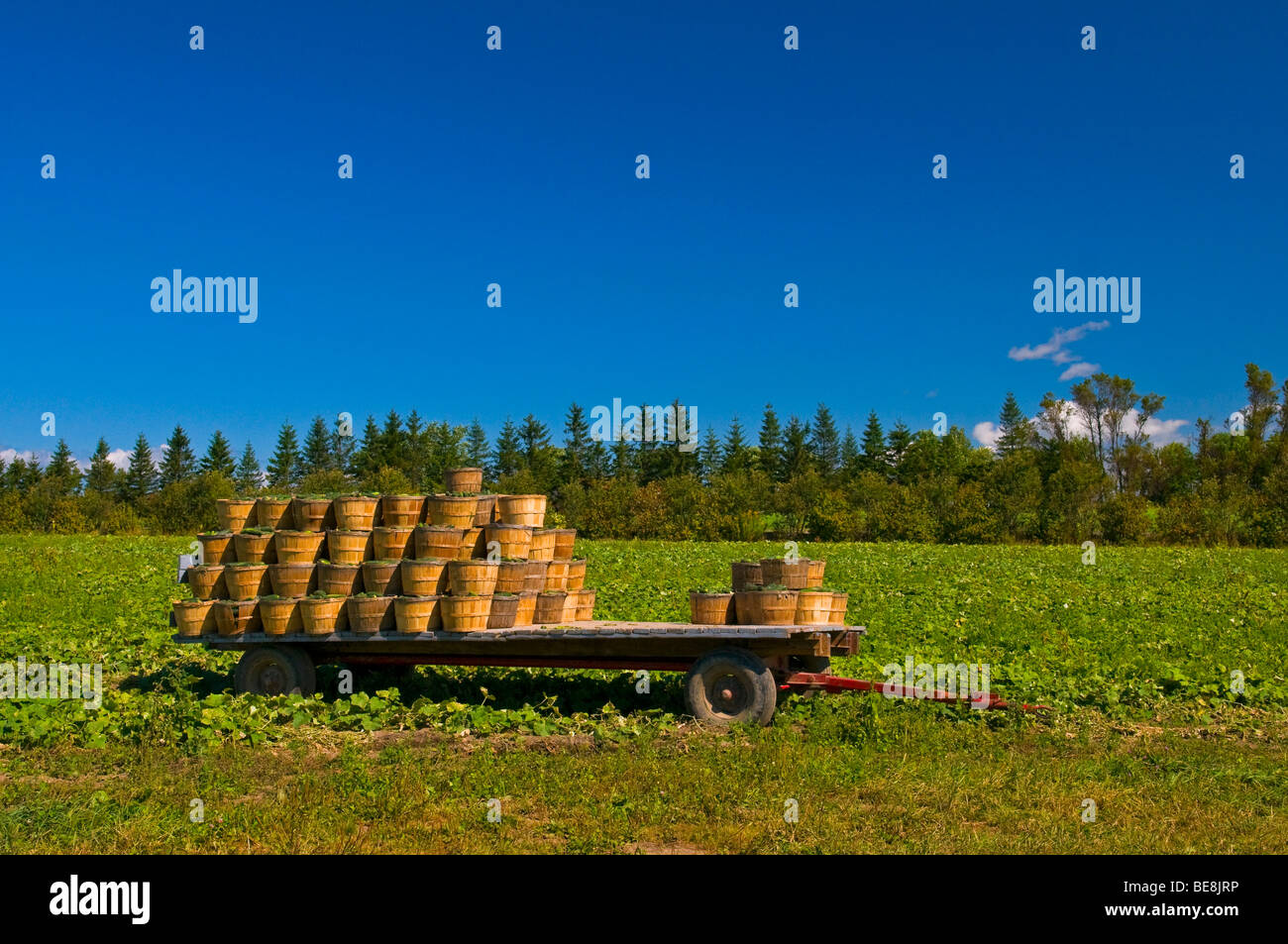 Crops of north america hi-res stock photography and images - Alamy