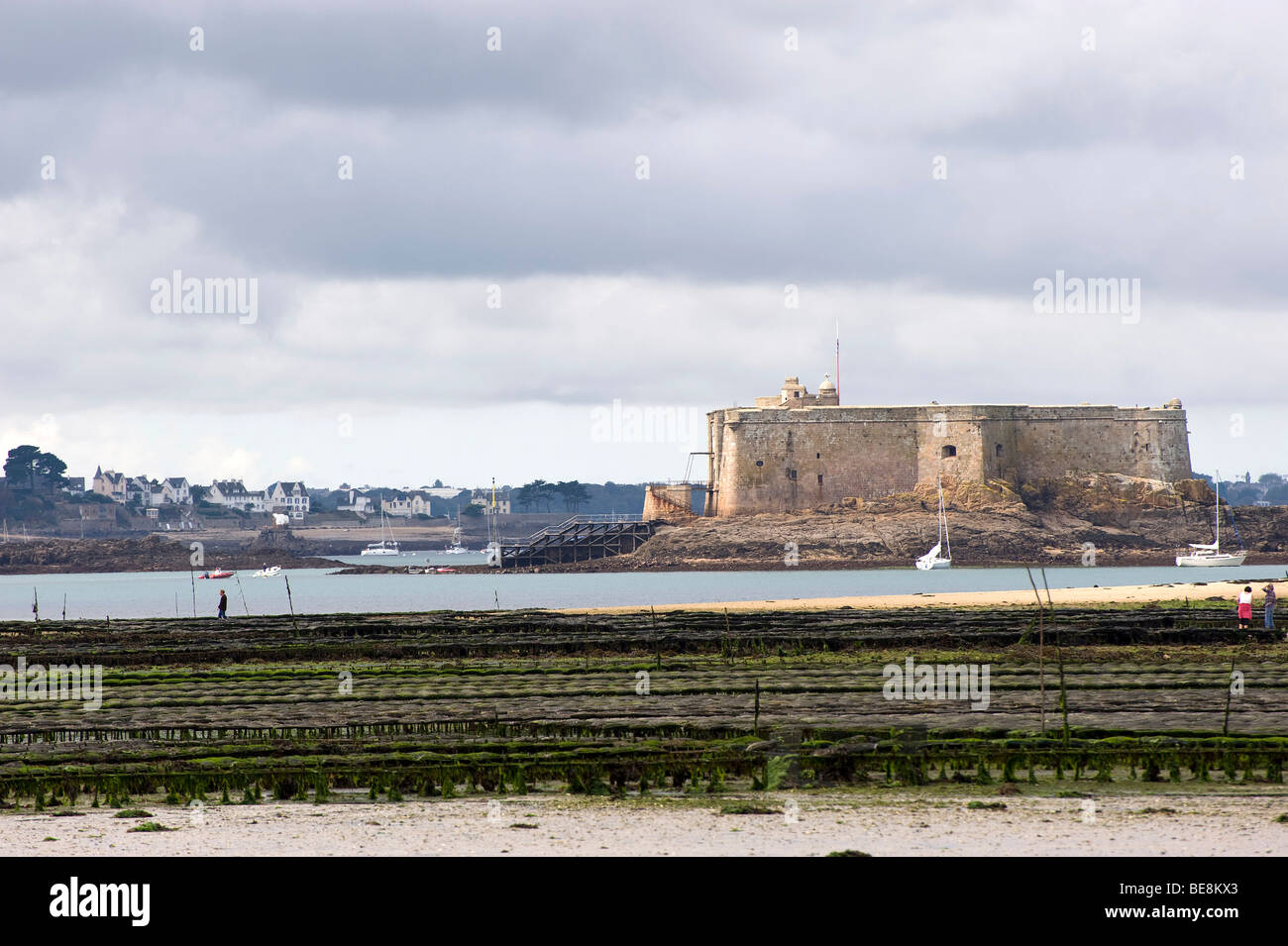 Oyster beds and the Château du Taureau in the Bay of Morlaix, Finistere, Brittany, France, Europe Stock Photo