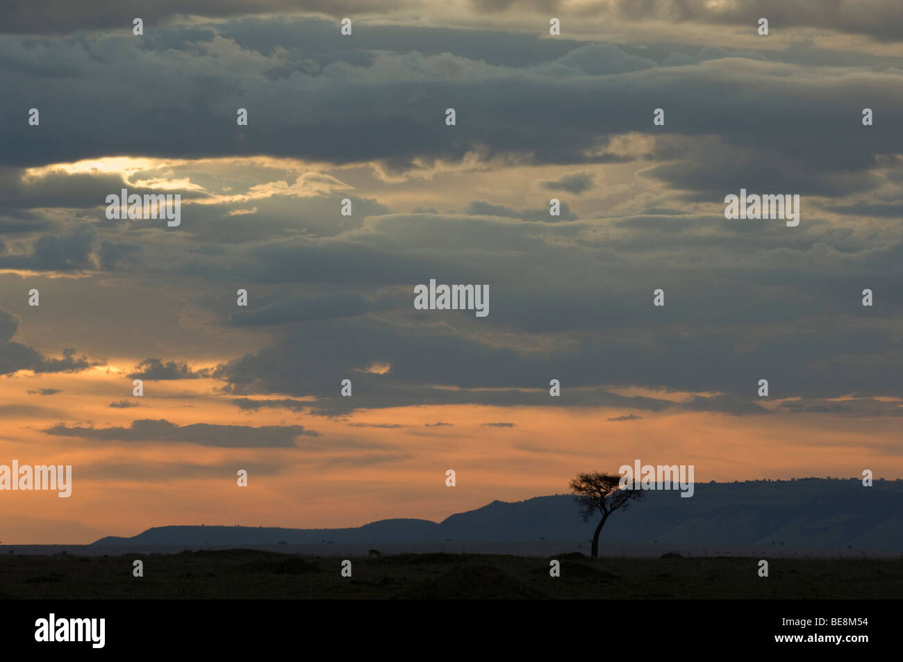 Sunset over the plains of Maasai Mara National Reserve, Kenya Stock ...