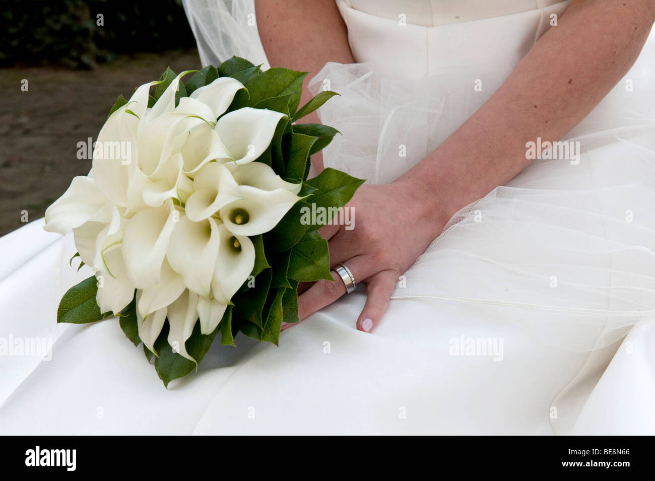 Wedding bouquet of white Callas in the lap of the bride Stock Photo - Alamy