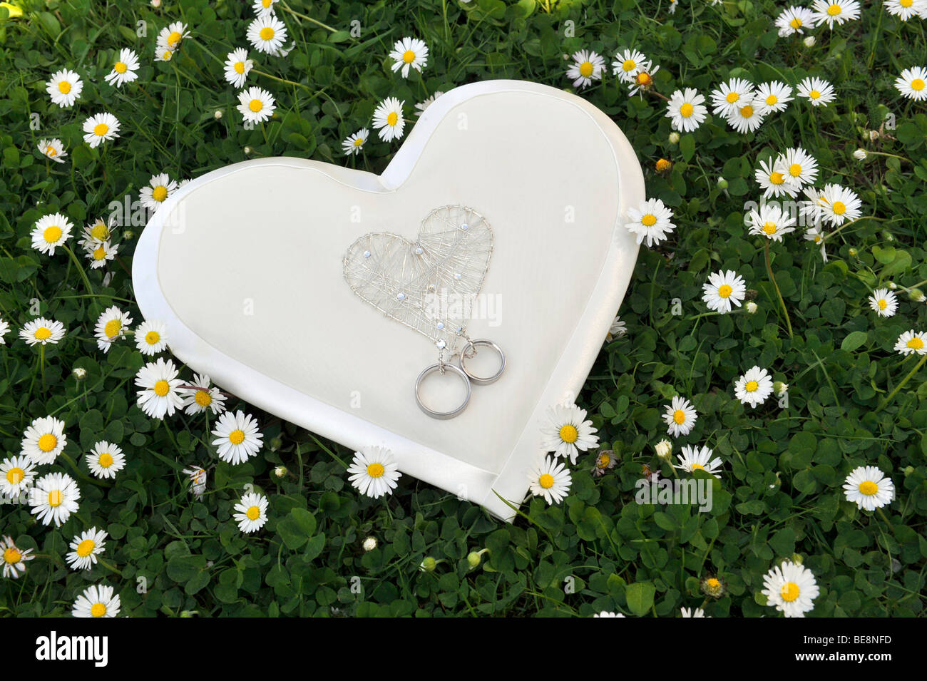 Heart-shaped ring pillow with wedding rings in the grass with daisies Stock Photo