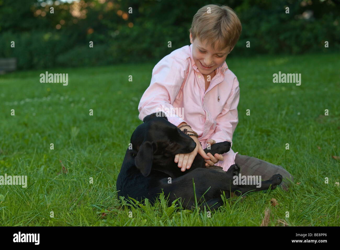 Boy, 10, playing with a labrador puppy Stock Photo