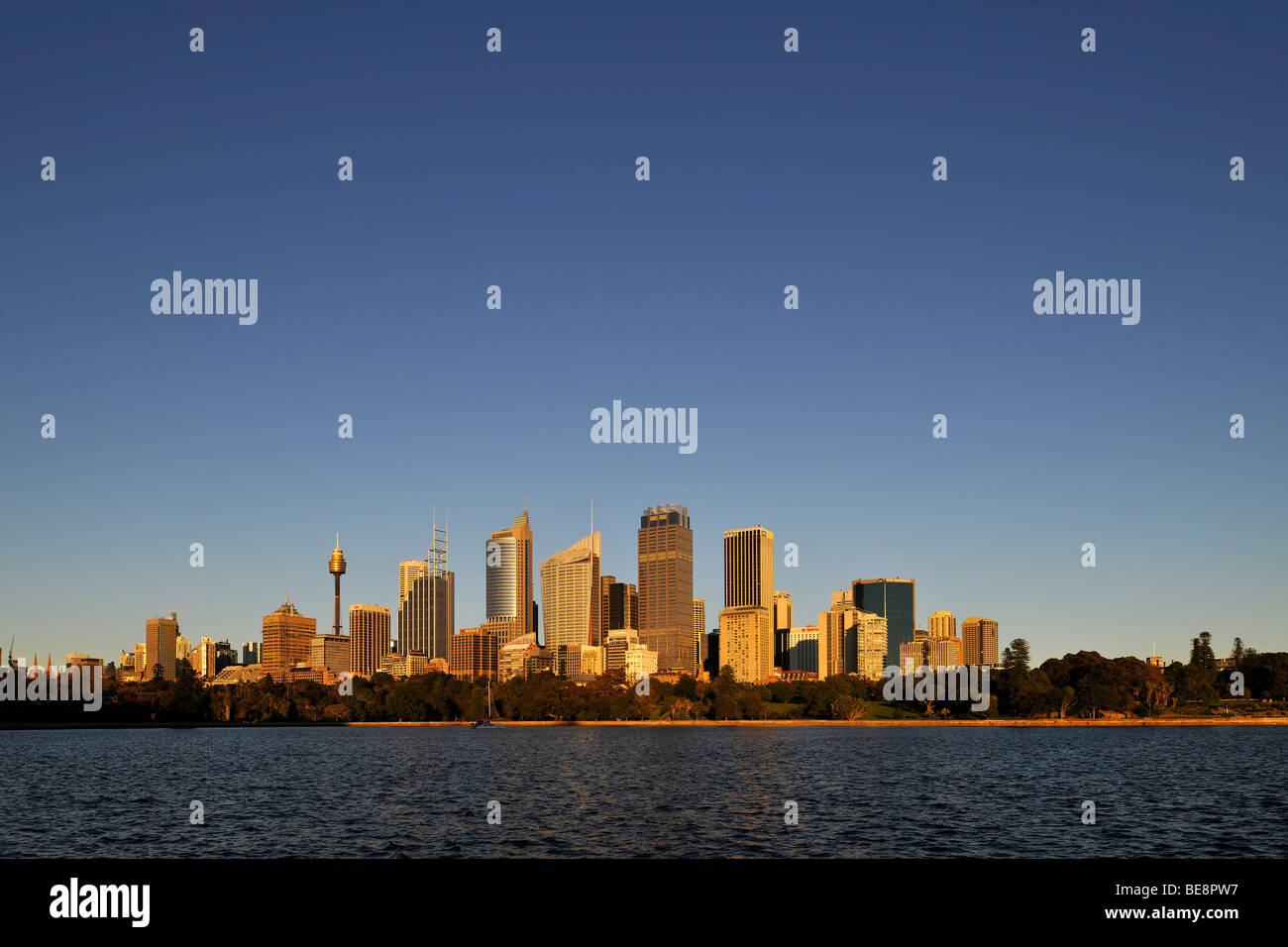 Skyline of Sydney at sunrise, TV Tower, Central Business District, Sydney, New South Wales, Australia Stock Photo