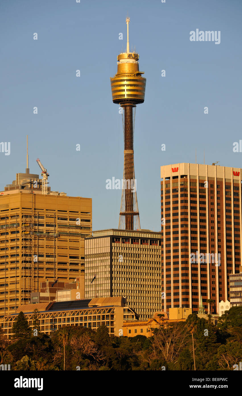 Sydney Tower High Resolution Stock Photography and Images - Alamy : An astonishing photo capturing a gorgeous landscape. Its hues are just vibrant and combination ideally. Its composition looks fantastic, and the particulars are also highly sharp.