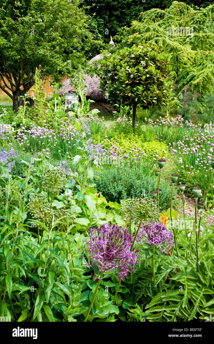 A corner of the Potager Garden at the TWIGS gardens in Swindon, Wiltshire, England, UK Stock Photo
