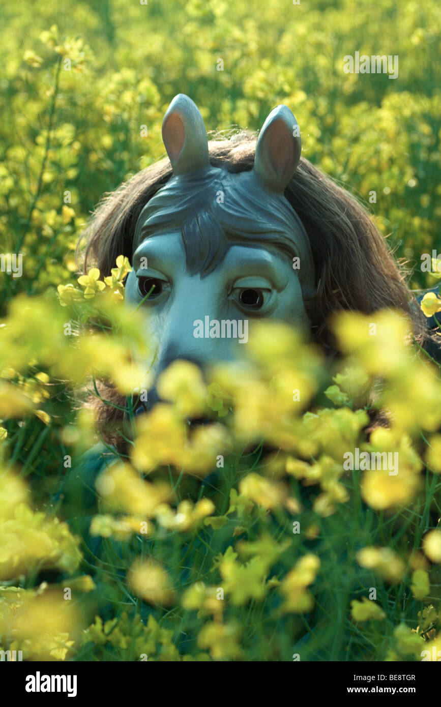 Person wearing animal mask, hiding in field of wildflowers Stock Photo