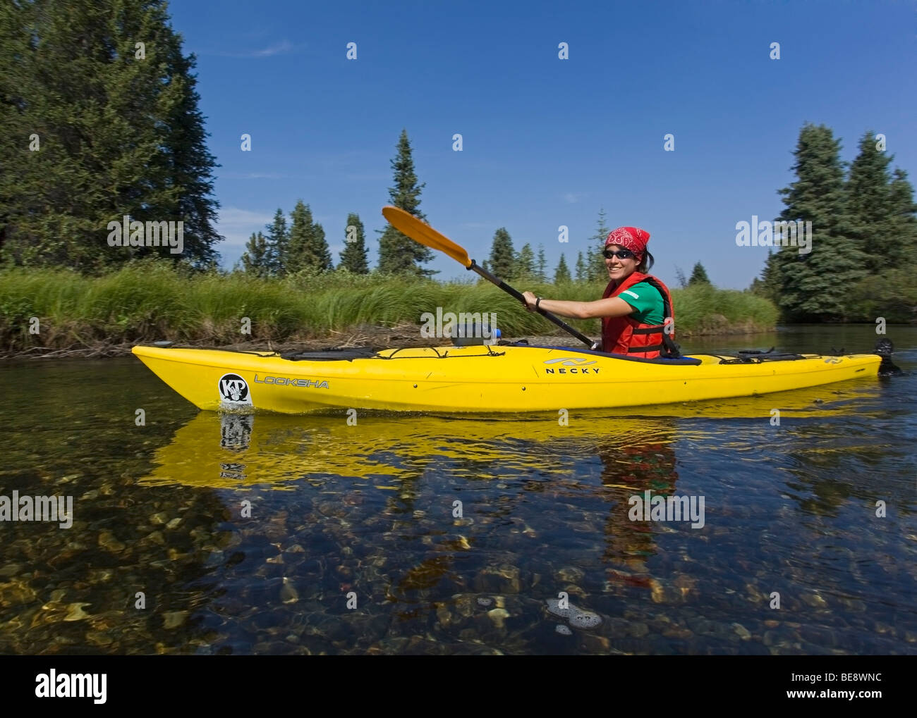 Young woman in kayak, paddling, kayaking, clear, shallow water of Caribou Creek, upper Liard River, Yukon Territory, Canada Stock Photo