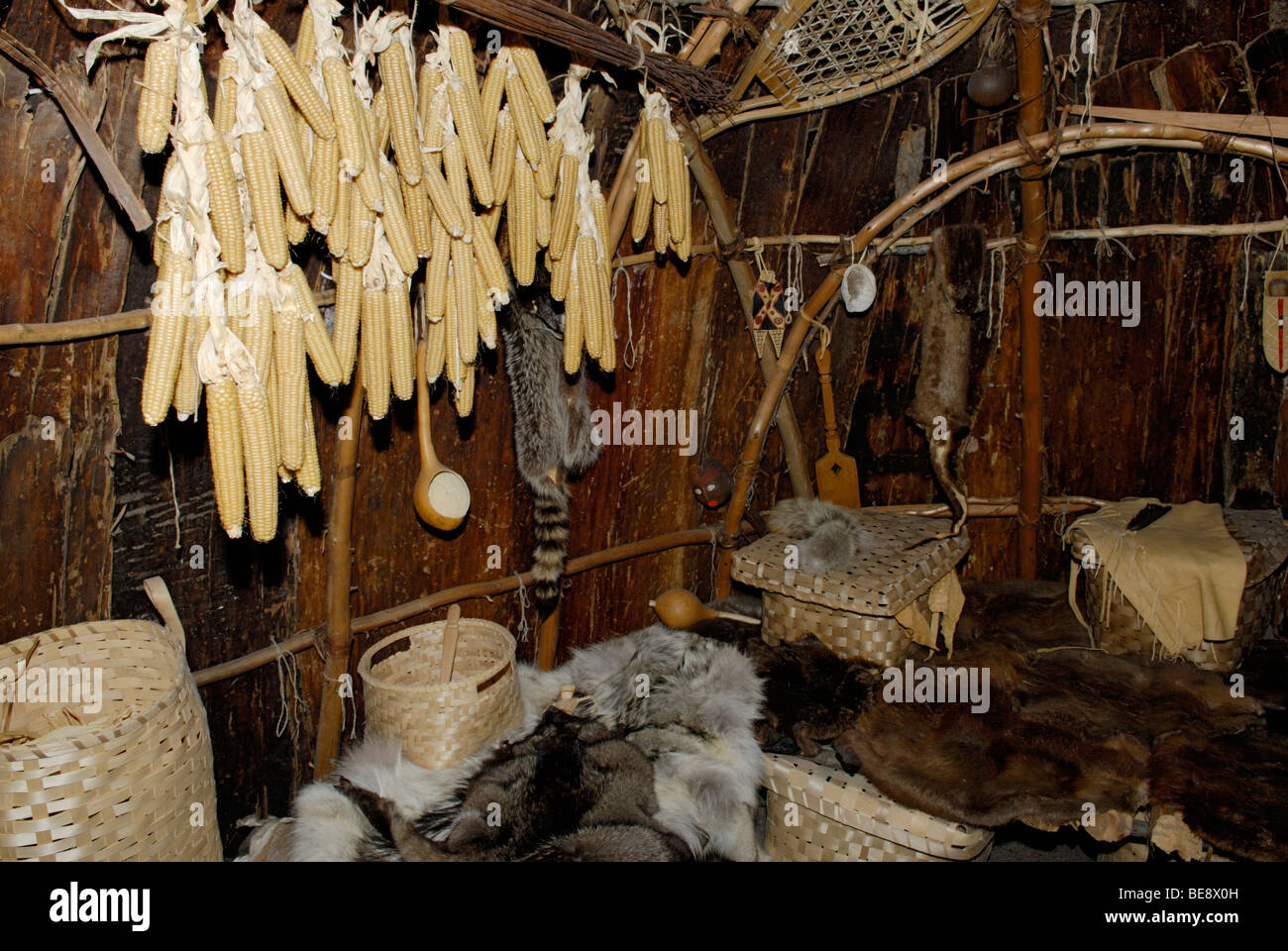 Inside of a Native American teepee lodge, Mashantucket Pequots, 16th Century, with drying corn, tools, skins Stock Photo