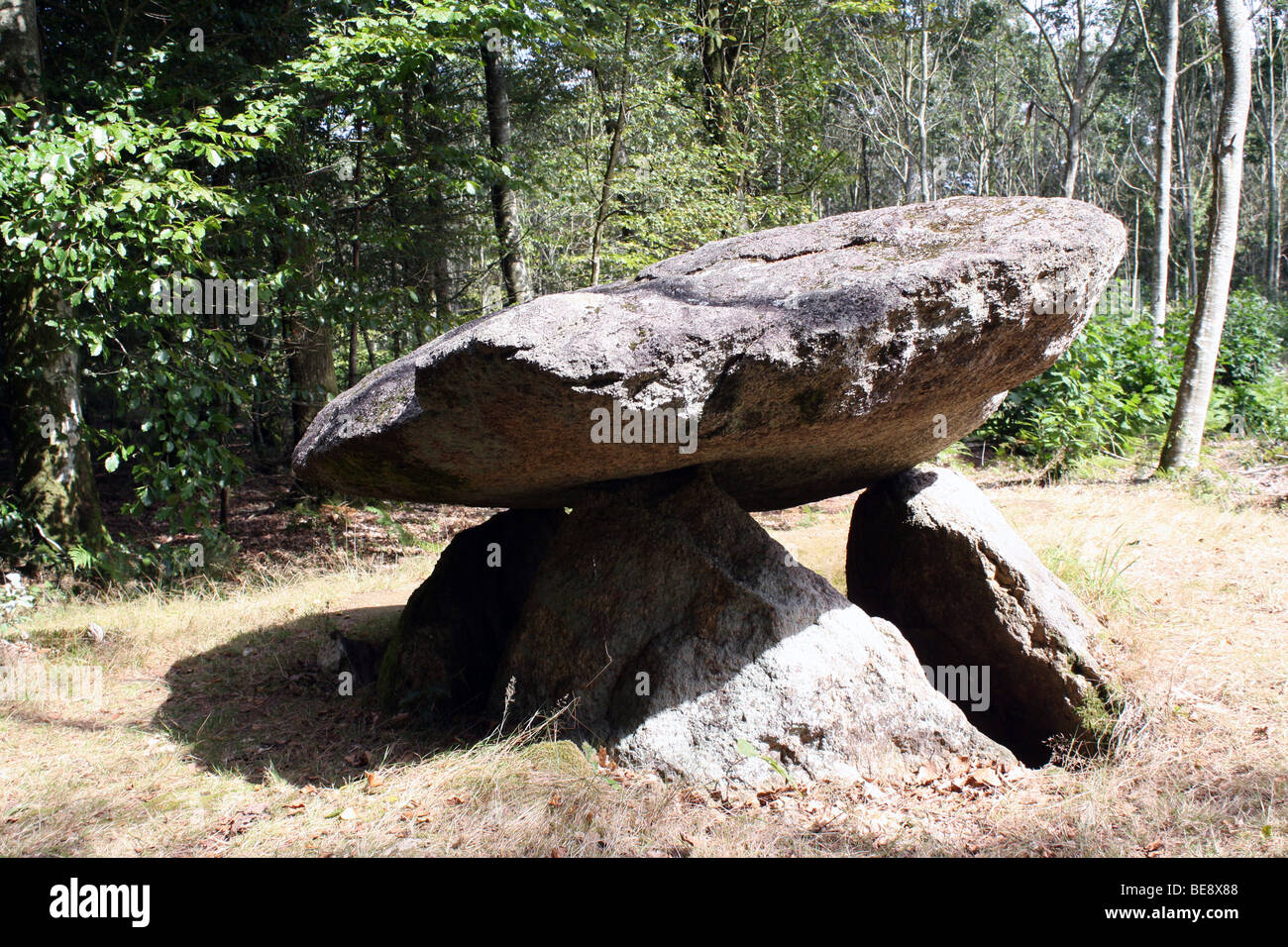 Stone table Dolmen Du Roh-Du La Chapelle Neuve Brittany France Stock Photo