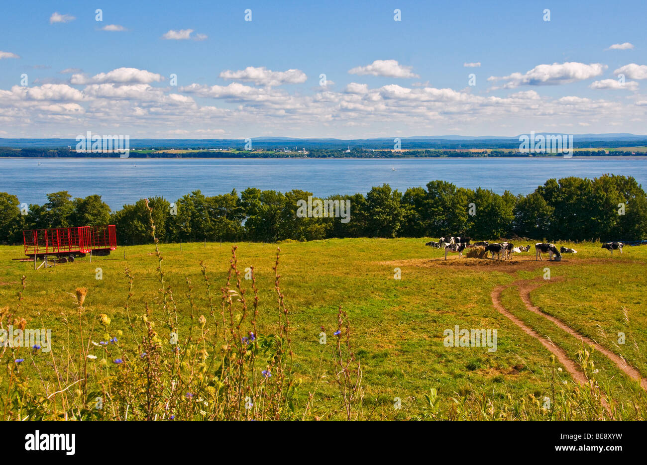 Fields on the island of Orleans Province of Quebec canada Stock Photo