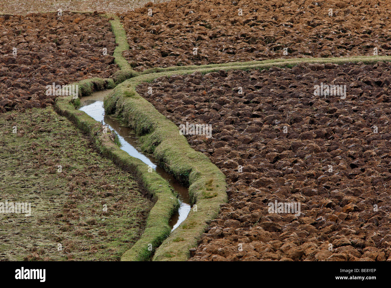 Rice paddy in the central highlands, Madagascar, Africa Stock Photo