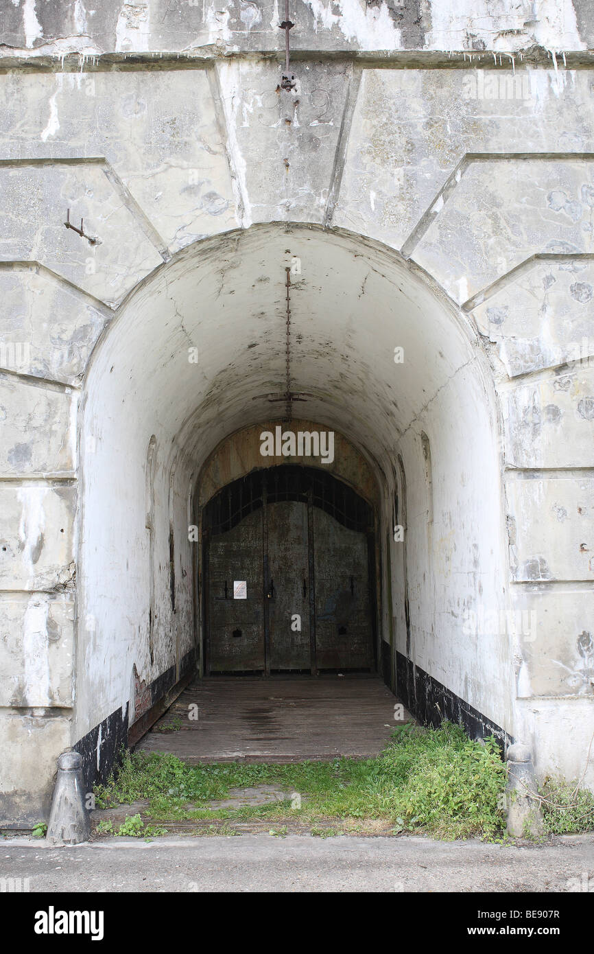 Fort van Haasdonk, vleermuizenreservaat, natuurreservaat, Belgi