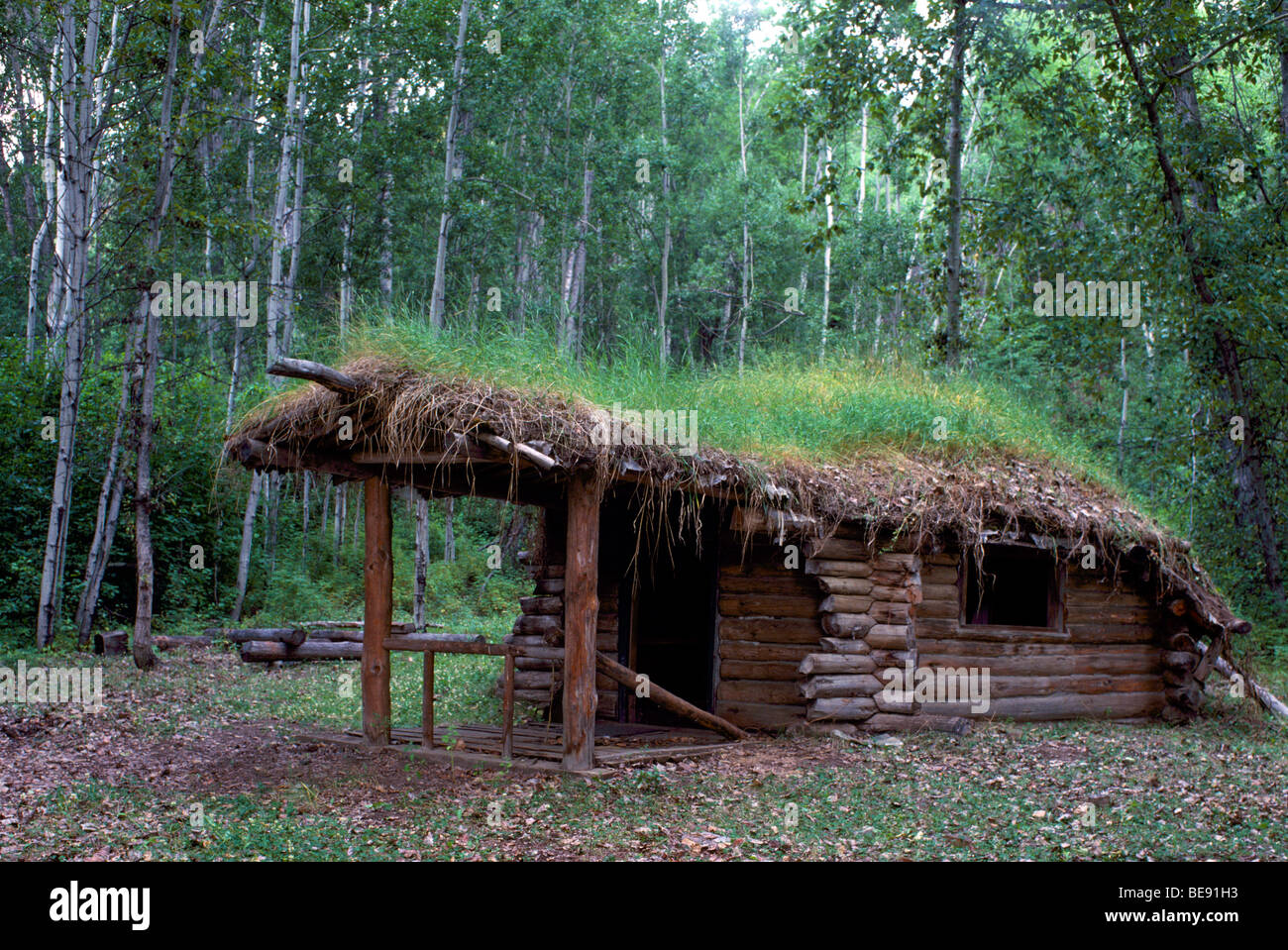 Glenora Near Telegraph Creek Bc British Columbia Canada Old