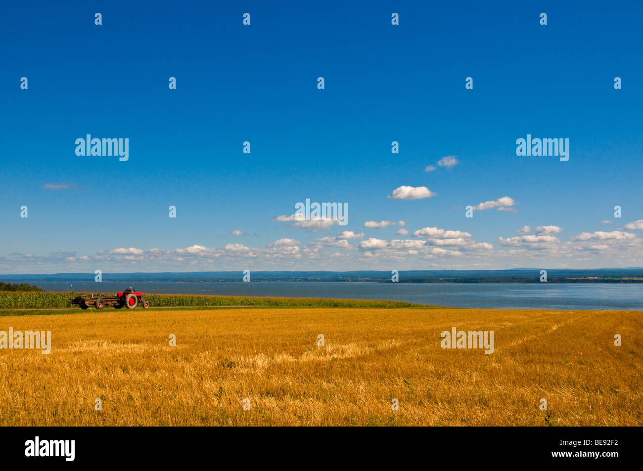 Fields on the island of Orleans Province of Quebec canada Stock Photo