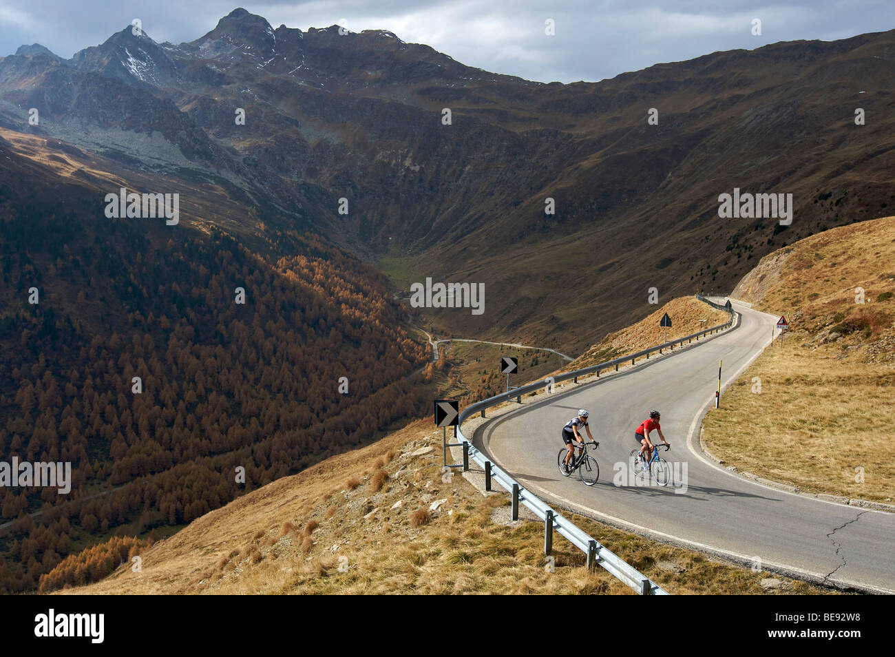 Bicycle racers at the Passo di Pennes road, South Tyrol, Italy, Europe Stock Photo