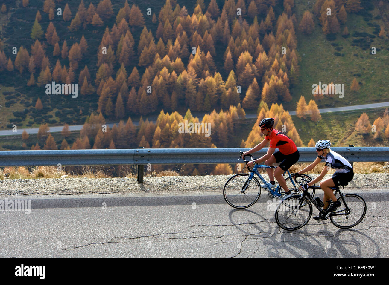 Bicycle racers at the Passo di Pennes road with autumnally colored ...