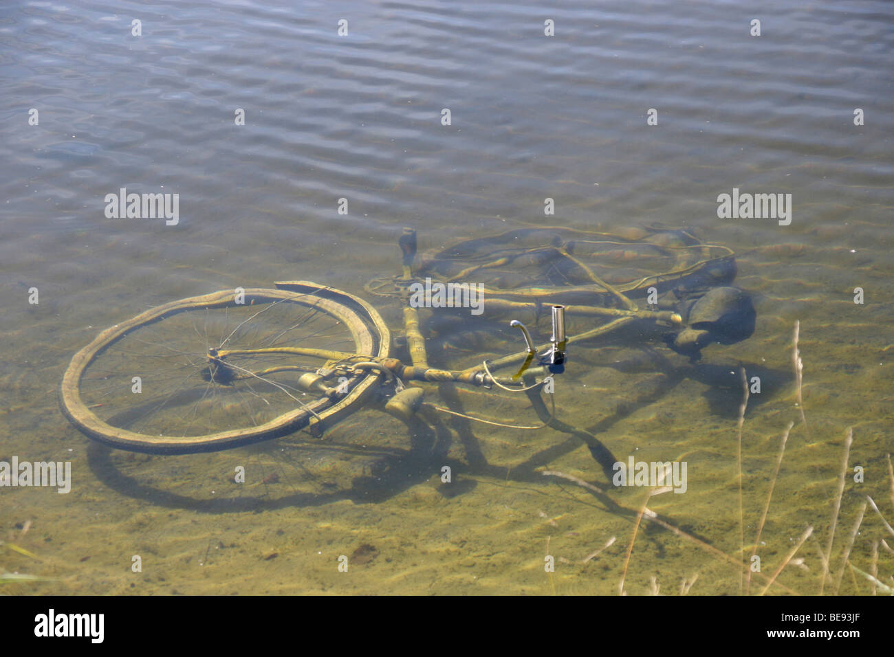 Bicycle lying in a lake Stock Photo