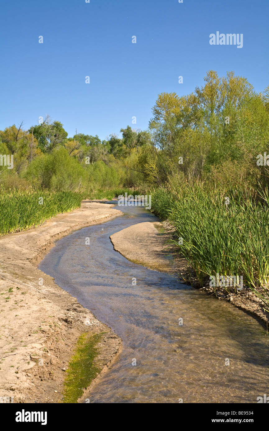 Hassayampa River Preserve, a Nature Conservancy preserve near