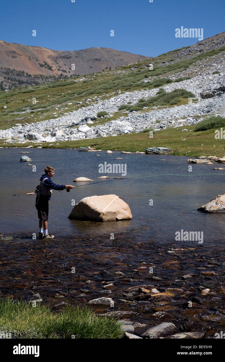 Young man fly fishing in stream near Greenstone and Conness Lakes, Inyo National Forest, California Stock Photo