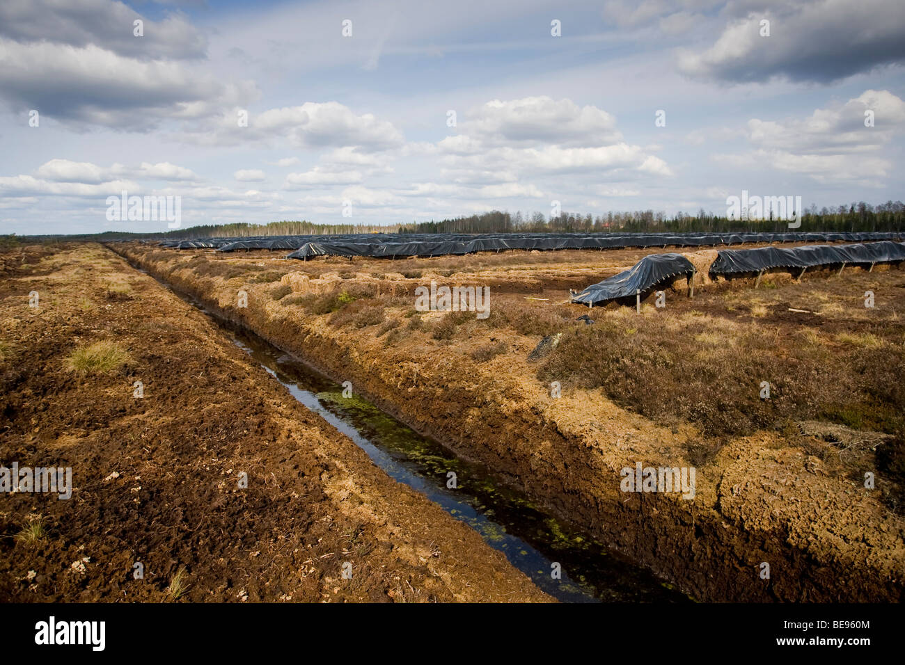 Destruction of virgin peatland in Sm land, Vernietiging van oorspronkelijk veen door grootschalige turfwinning in Sm land Stock Photo