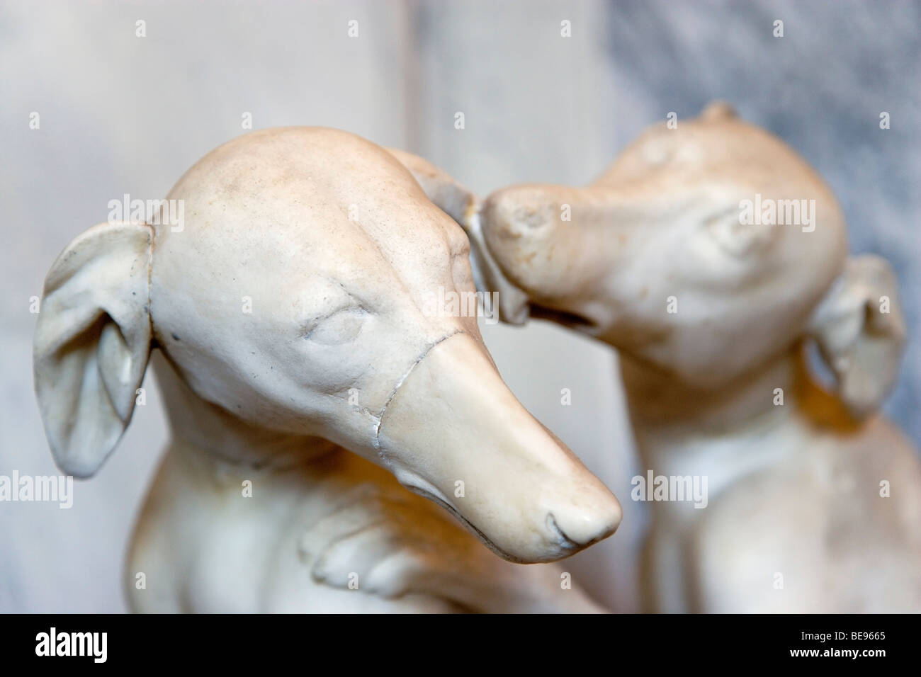 ITALY Lazio Rome Vatican City Museums Room of Animals in Belvedere