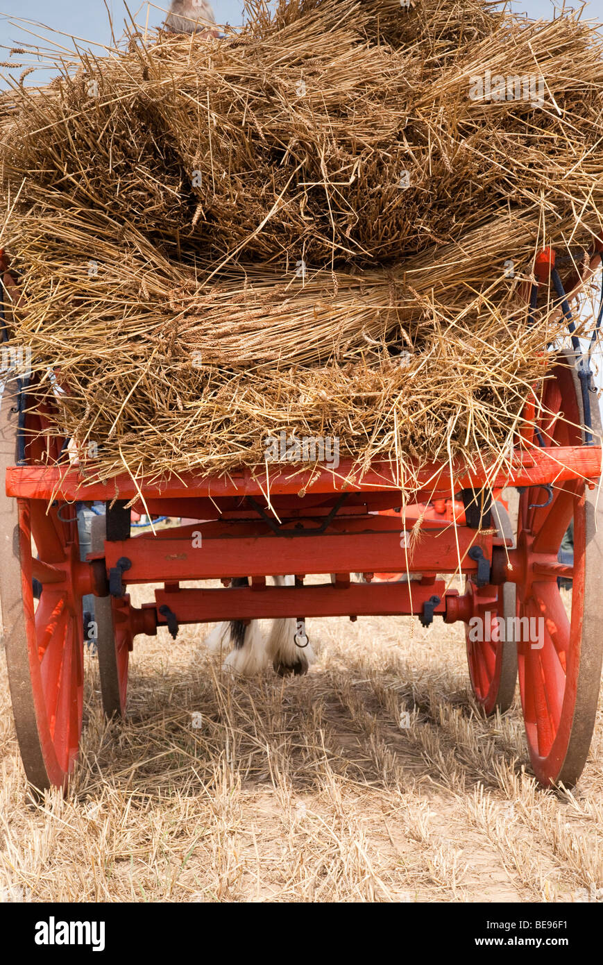 Wagon pulled by horse hi-res stock photography and images - Alamy