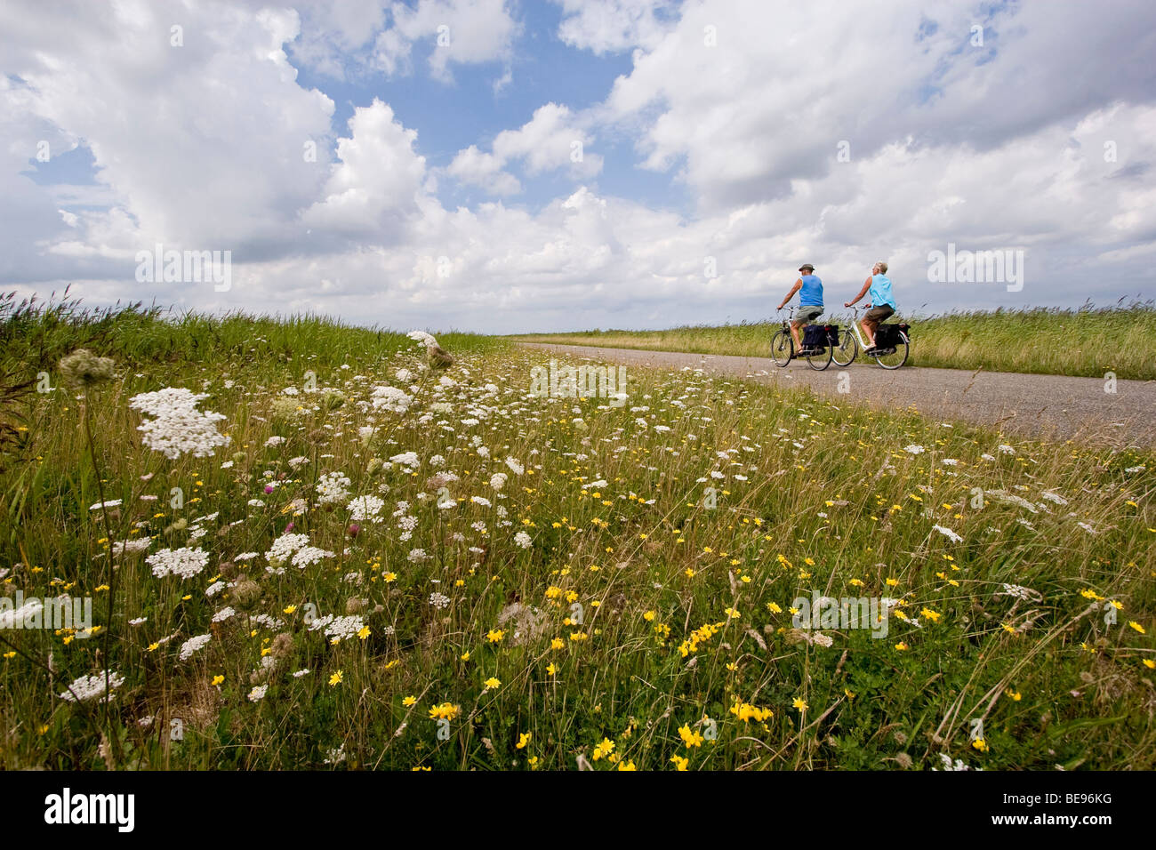 Bicyle ride along Lauwersmeer National Park; Fietstocht langs Nationaal Park Lauwersmeer Stock Photo