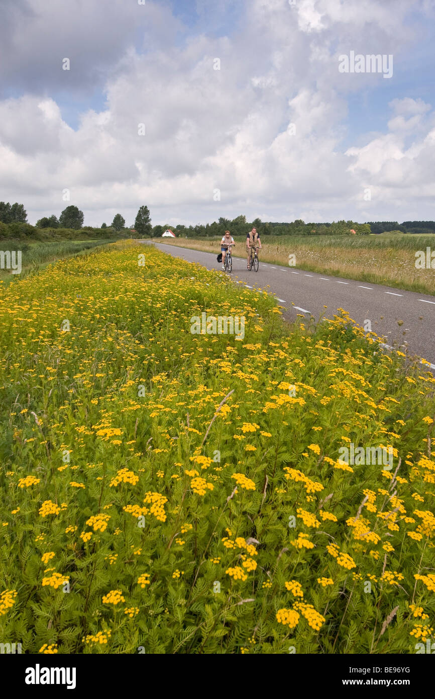 Bicyle ride along Lauwersmeer National Park; Fietstocht langs Nationaal Park Lauwersmeer Stock Photo