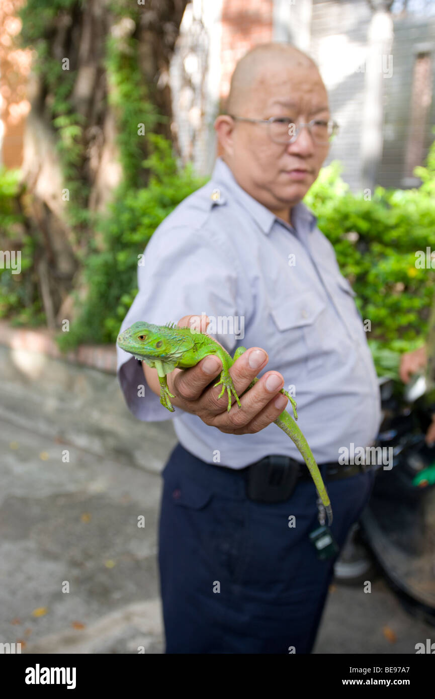Taiwanese man and his lizard Stock Photo