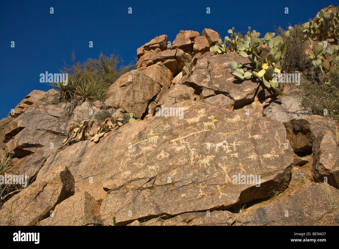 Ancient indian petroglyphs on rocks along Badger Springs Wash Trail at Agua Fria National Monument, Arizona, BEAN AL Pix 0285 Stock Photo