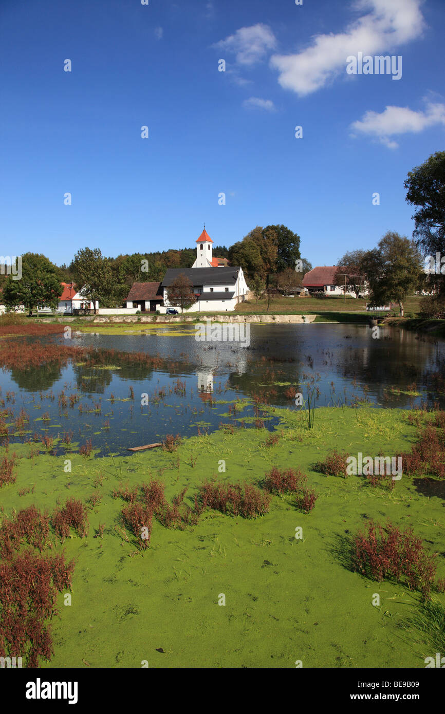green Sea weeds on the lake at the village of Petrovice, Bohemia, Czech Republic,  Central Europe. Photo by Willy Matheisl Stock Photo